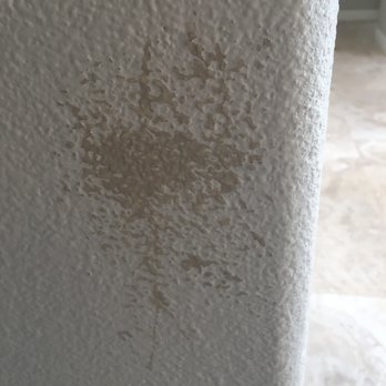 Hoang's Painting - New painting even does not cover old painting. The dark one is old painting. - Painters Near Me - San Diego, California Hoang's Painting - New painting even does not cover old painting. The dark one is old painting. - Painters Near Me - San Diego, California