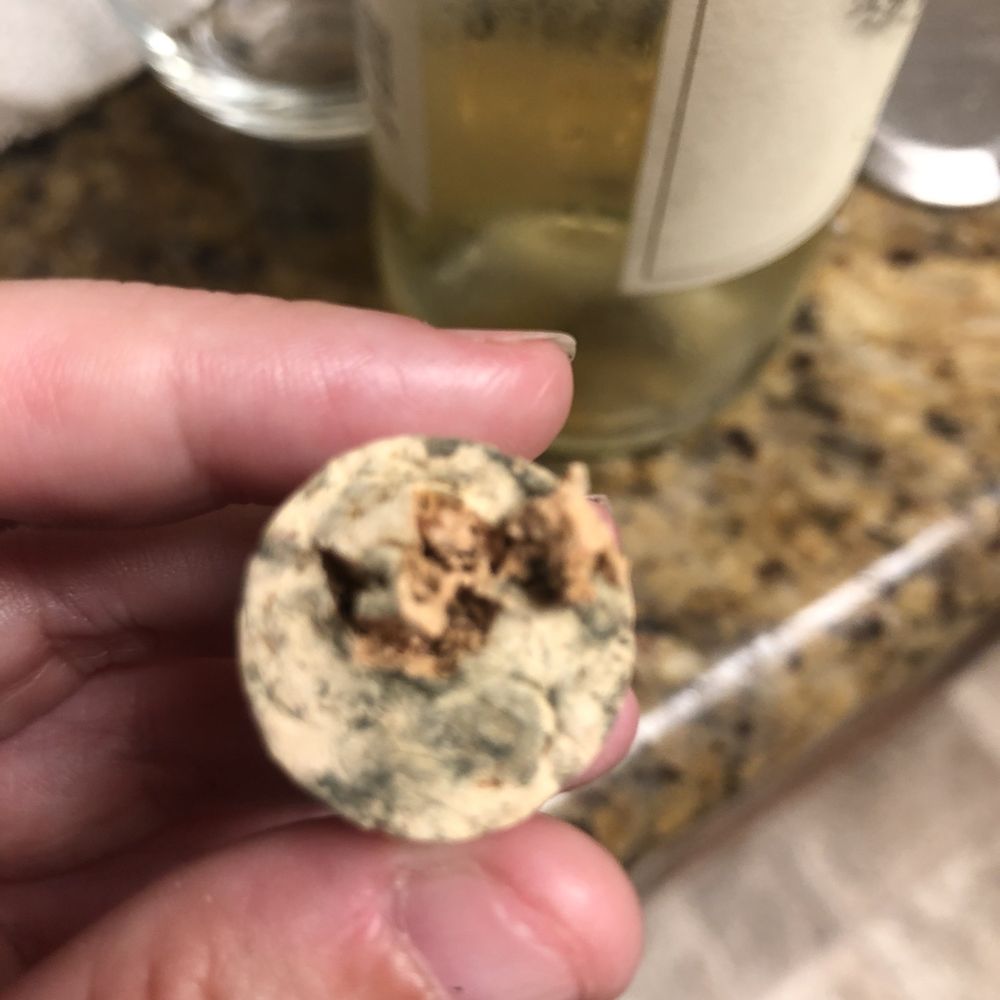 Fallbrook Winery - Moldy cork - Wine Tasting Room Near Me - Fallbrook, California Fallbrook Winery - Moldy cork - Wine Tasting Room Near Me - Fallbrook, California