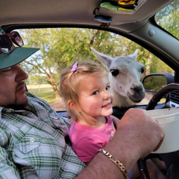Alabama Safari Park - Zoos Near Me - Hope Hull, Alabama