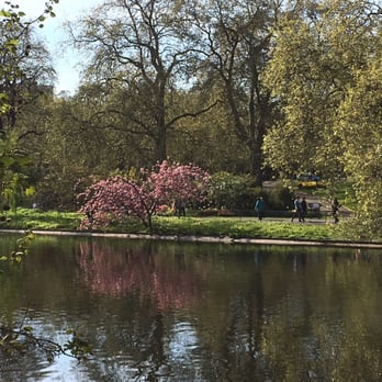 St James's Park - That same blossom from the other side of the lake - Parks Near Me St James's Park - That same blossom from the other side of the lake - Parks Near Me
