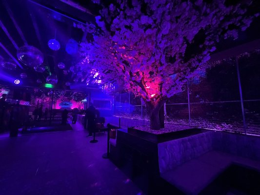 The Mayflower Club by null