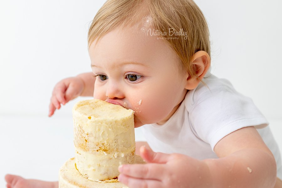 VICTORIA BRADLEY PHOTOGRAPHY Updated June 2024 30 Swifts View