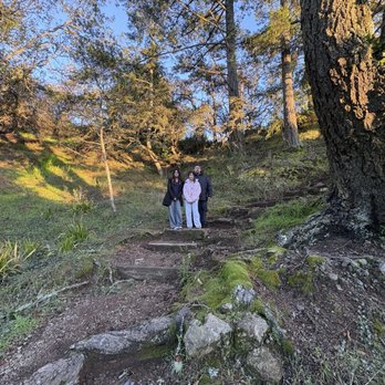 Mountain Home Inn - Wannabe hikers in a hikers paradise - Bed & Breakfast Near Me - Mill Valley, California Mountain Home Inn - Wannabe hikers in a hikers paradise - Bed & Breakfast Near Me - Mill Valley, California