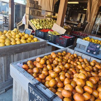 Joshua Citrus - Fruits & Veggies Near Me - Arcadia, Florida
