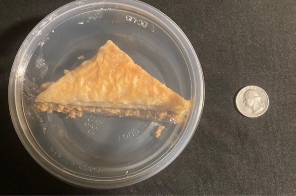 The Halal Project by null