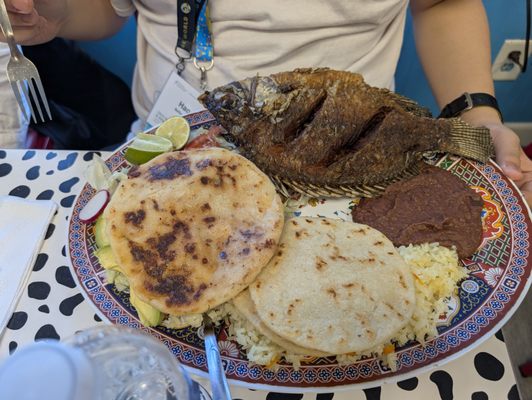 La Cuscatleca East by null