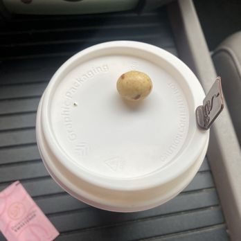 The Human Bean - Coffee lid w signature coffee bean treat - Bubble Tea Near Me - Albuquerque, New Mexico