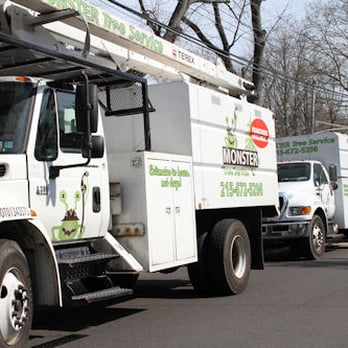 Monster Tree Service - Tree Services Near Me - Cary, North Carolina