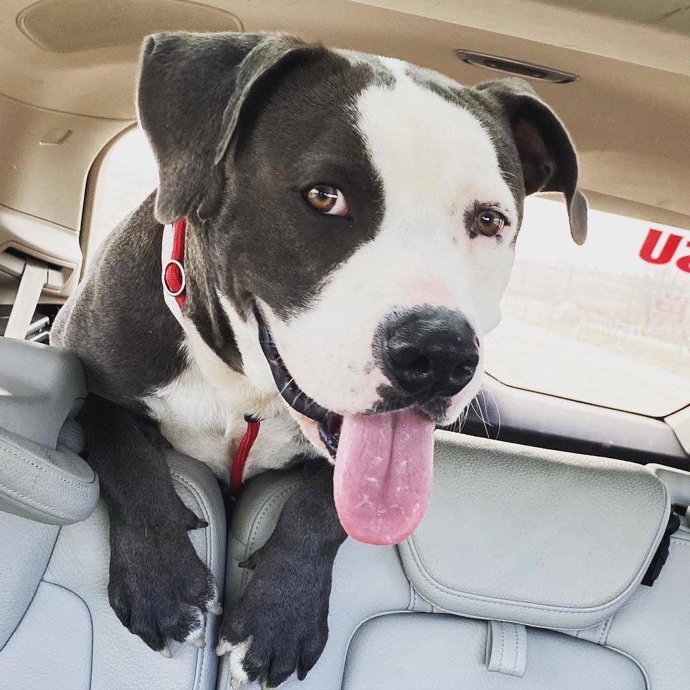 o Jupiter Florida Real Estate For Sale