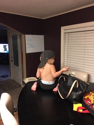 Jerry's Walls and Windows