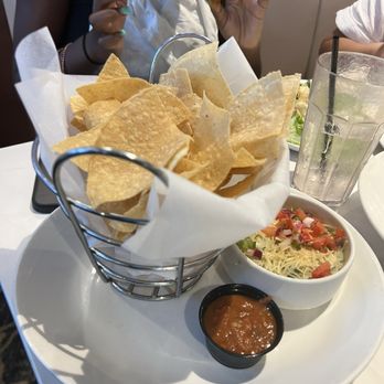 Black Walnut Café - SPINACH AND ARTICHOKE DIP - Cafes Near Me - Houston, Texas Black Walnut Café - SPINACH AND ARTICHOKE DIP - Cafes Near Me - Houston, Texas