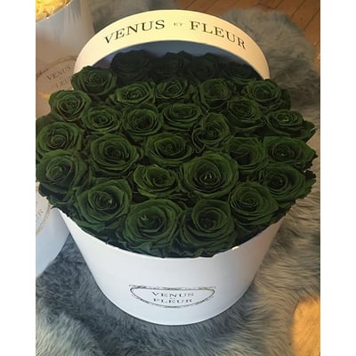 Venus et Fleur- Oculus World Trade Center Boutique by null