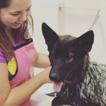 Pet Wash Center - The best place to wash my German shepherd! So grateful for the helpful staff and easy self serve dog wash. We love coming here!! - Pet Groomers Near Me - Riverside, California Pet Wash Center - The best place to wash my German shepherd! So grateful for the helpful staff and easy self serve dog wash. We love coming here!! - Pet Groomers Near Me - Riverside, California