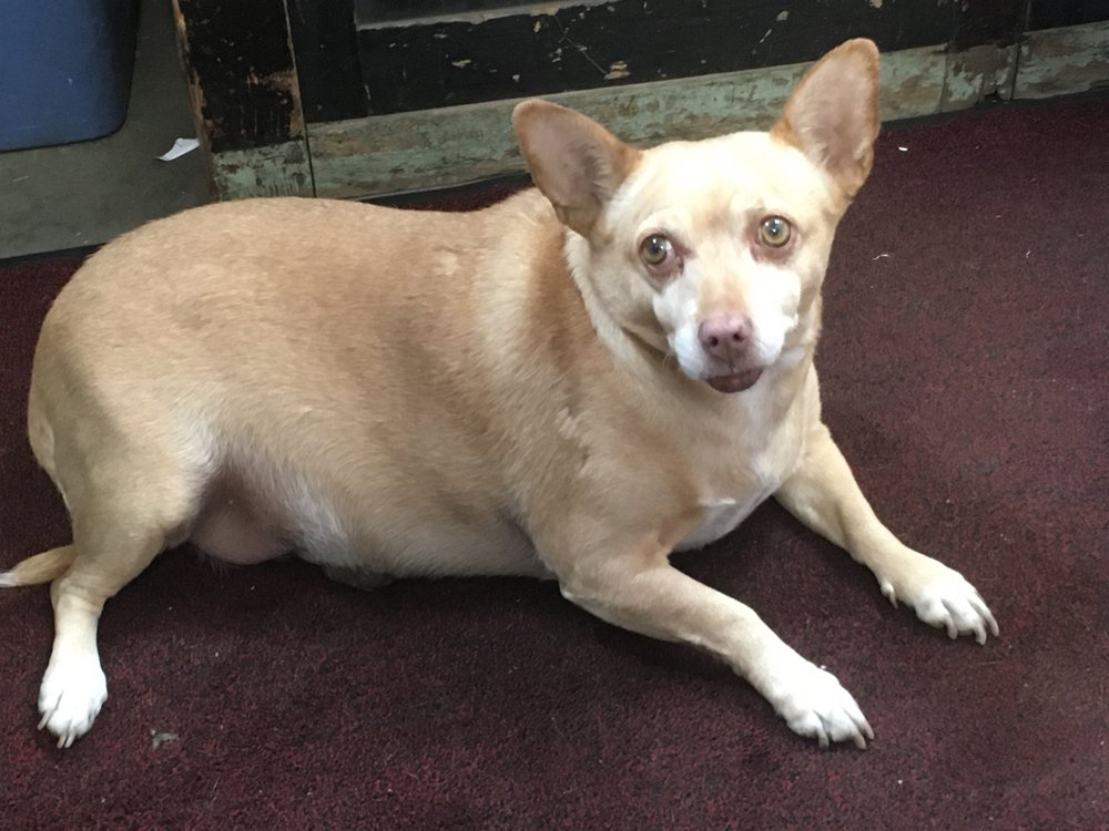 GREELEY ELECTRIC REPAIR Updated August 2024 Request a Quote 2509