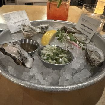 Local Ocean Seafoods - Seafood Markets Near Me - Newport, Oregon Local Ocean Seafoods - Seafood Markets Near Me - Newport, Oregon
