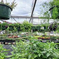 The Plant Haus 2