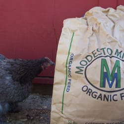 Modesto Milling