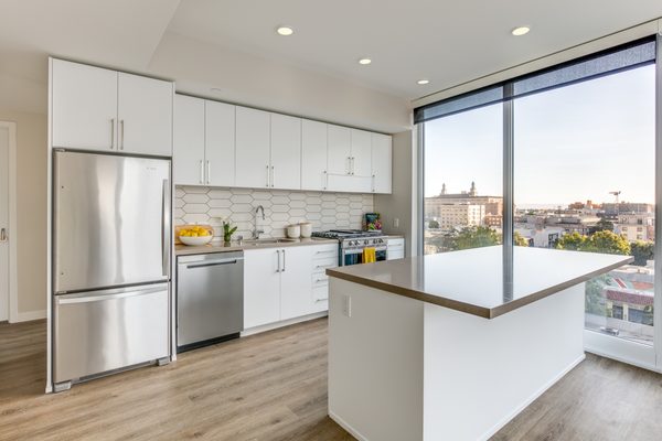 1717 Webster by null