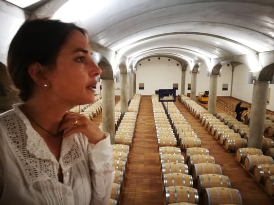 Donnafugata by null
