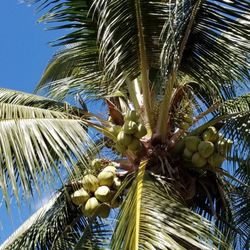 Aloha MK Tours