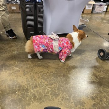 OC Japan Fair - In a kimono! - Festivals Near Me - Costa Mesa, California