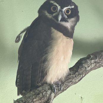 Audubon Zoo - Aquariums Near Me - New Orleans, Louisiana