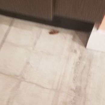 Scottish Inns & Suites - ROACH INFESTED - Hotels Near Me - Houston, Texas Scottish Inns & Suites - ROACH INFESTED - Hotels Near Me - Houston, Texas