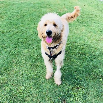 Barkham at Markham Park - Dog Parks Near Me - Sunrise, Florida