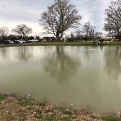 Blue Water Catfish Farm