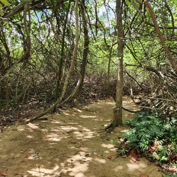 Kualoa Ranch - Private island walking path... - Tours Near Me - Kaneohe, Hawaii Kualoa Ranch - Private island walking path... - Tours Near Me - Kaneohe, Hawaii