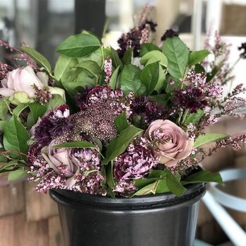 Elixir Coffee - Coffee & Tea Near Me - South Bend, Washington Elixir Coffee - Coffee & Tea Near Me - South Bend, Washington