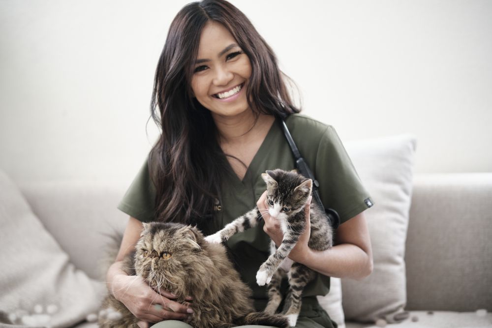 The Mobile Pawlyclinic Image