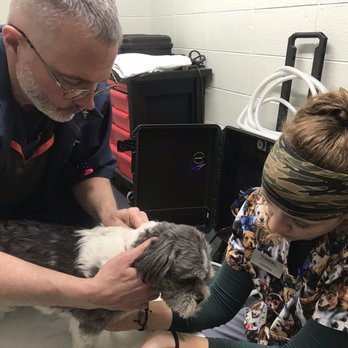 Integrative Veterinary Services Of Missouri 27 Photos Veterinarians 1332 W Sunshine Springfield Mo Phone Number