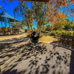 Vista del Verde Park Playground - Swing away!
