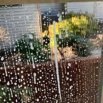 Paradise Window & Gutter - Window Cleaning - Window Washing Near Me