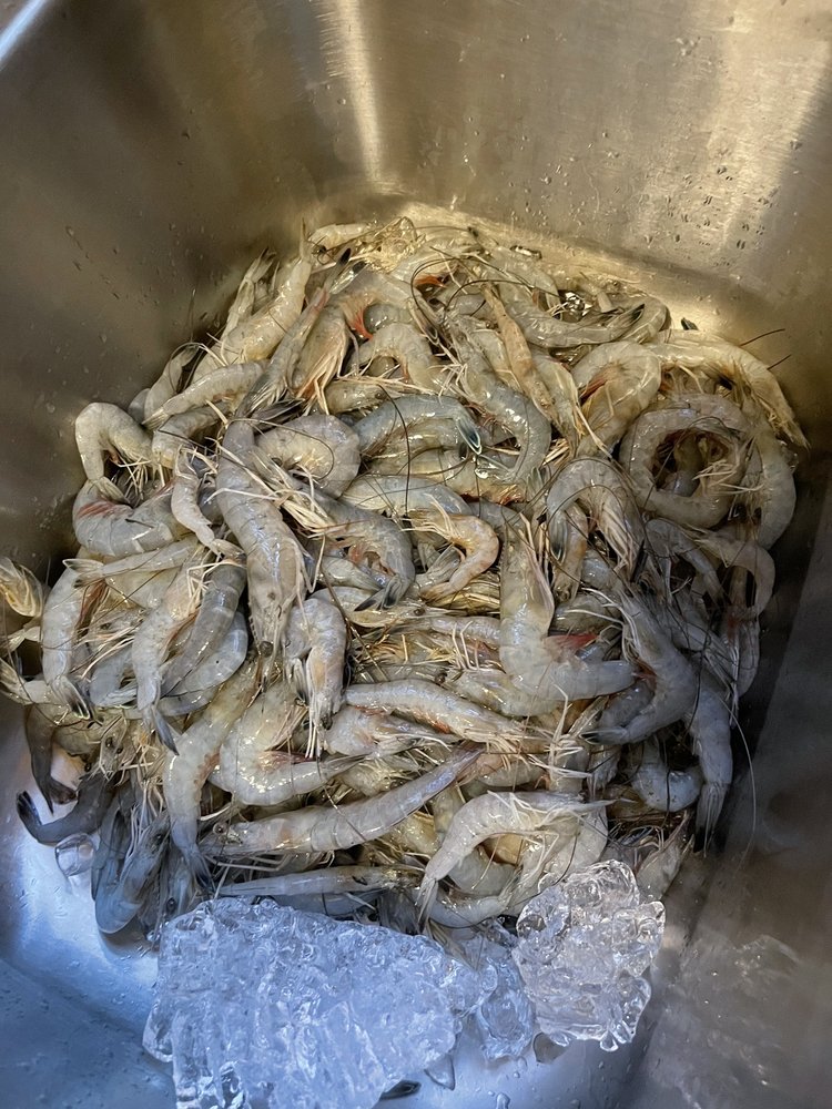 LDWF ROCKEFELLER WILDLIFE REFUGE Updated September 2024 5476 Grand