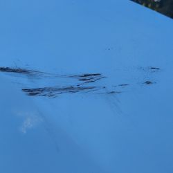 Dent Guru