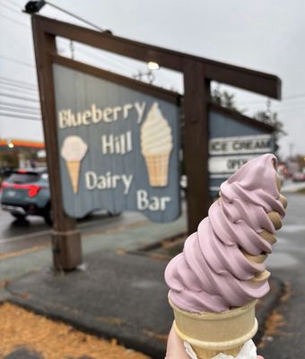Blueberry Hill Dairy Bar by null