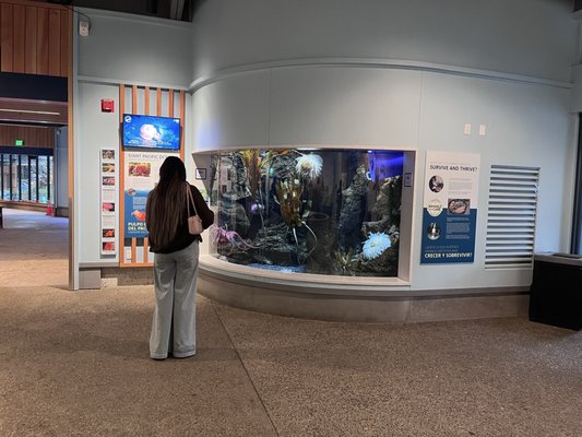 Oregon Coast Aquarium by null