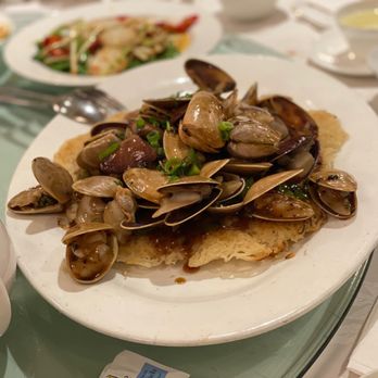 Star Capital Seafood - Pipis - Seafood Near Me - Chatswood, NSW Star Capital Seafood - Pipis - Seafood Near Me - Chatswood, NSW