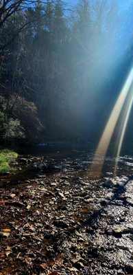 Natural Bridge State Park by null