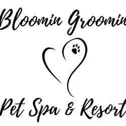 Bloomin Groomin Pet Spa and Resort