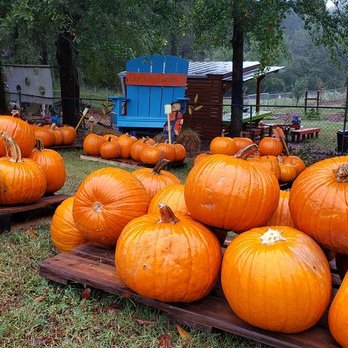 Our Giving Garden - Visit our pumpkin patch, open daily Oct 1 - Oct 31 from 10 am - 6:30 pm. - Community Service/Non-Profit Near Me - Mableton, Georgia Our Giving Garden - Visit our pumpkin patch, open daily Oct 1 - Oct 31 from 10 am - 6:30 pm. - Community Service/Non-Profit Near Me - Mableton, Georgia