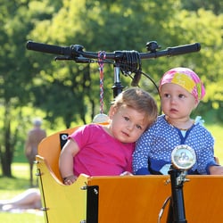 Nanifiets