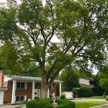 Stump Grinder Jim - Tree Services Near Me - Boise, Idaho