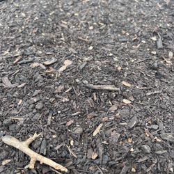 Whitwam Organics - Bulk soil from delivery in a raised garden bed.