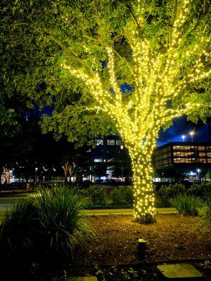 City Place, Spring TX by null