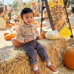 Shadelands Ranch Pumpkin Patch
