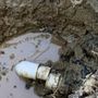 Photo of Piedmont Plumbers of Columbia