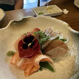 Sashimi Sashimi